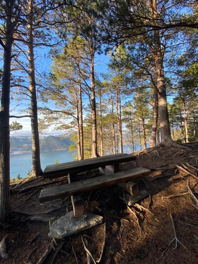 Chalet Orkanger Convenience And Serenity المظهر الخارجي الصورة